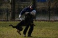 /album/fotogaleria/img-7091-jpg/