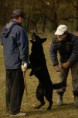/album/fotogaleria/img-7133-jpg/